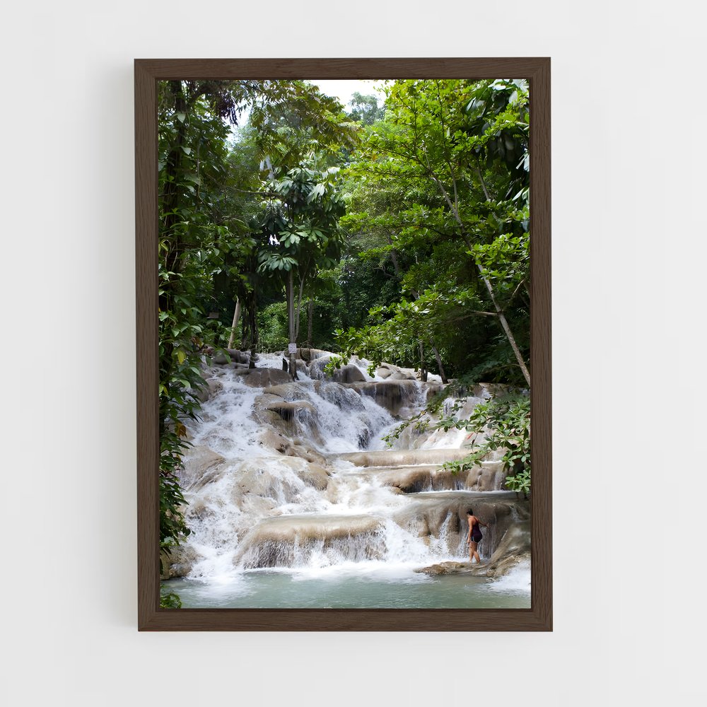 ap-dunn's river falls-2 cadre Bois foncé