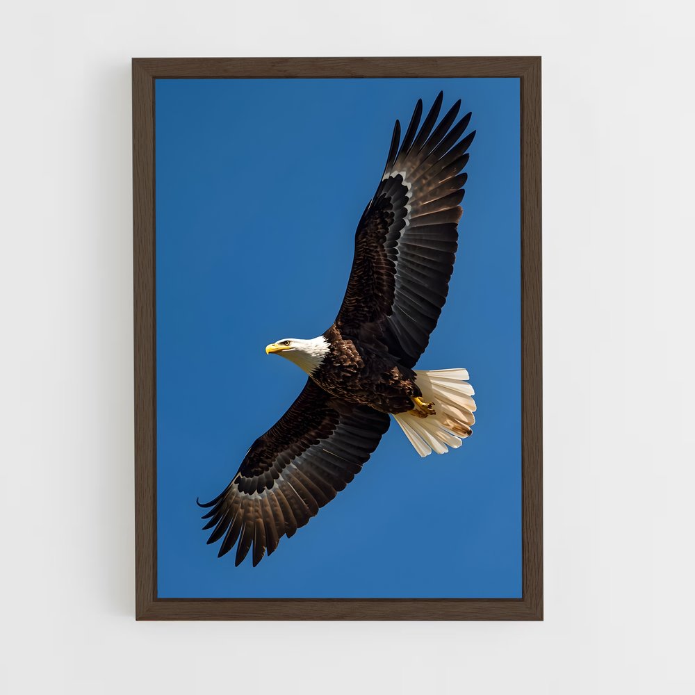 ap-eagle-4 cadre Bois foncé