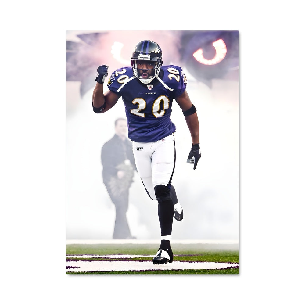 Poster Ed Reed en Action