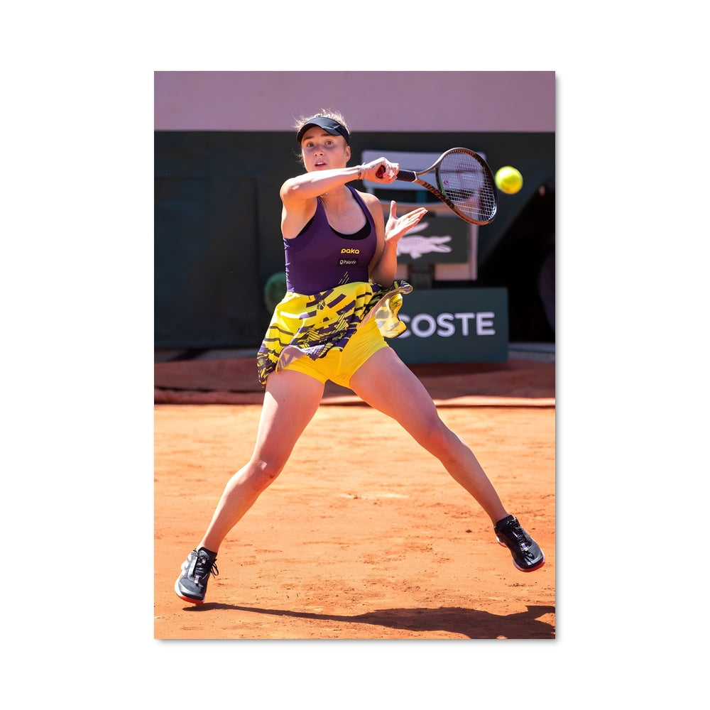 Poster Elina svitolina 68652