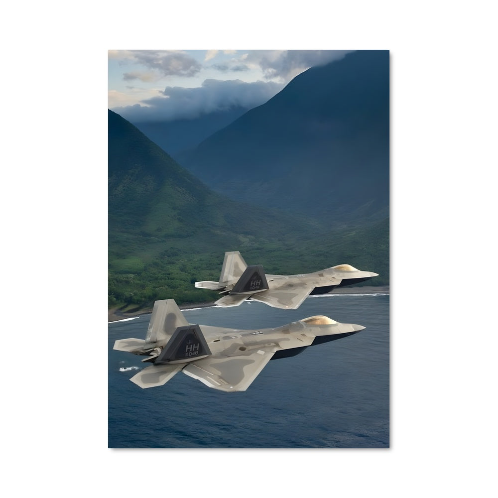 Poster F-22 raptor 80881