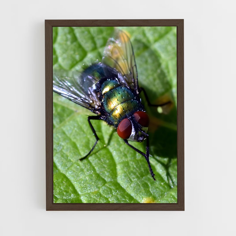 ap-fly-4 cadre Bois foncé
