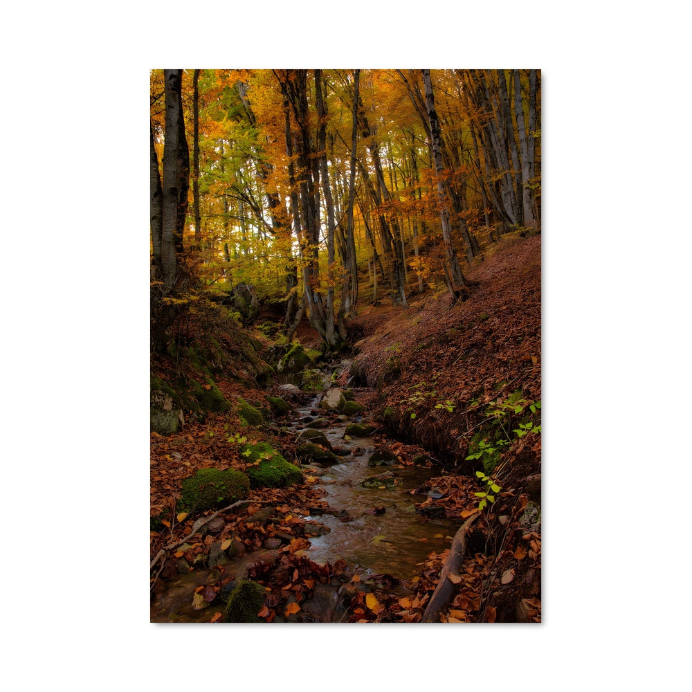 Poster Ruisseau d'Automne