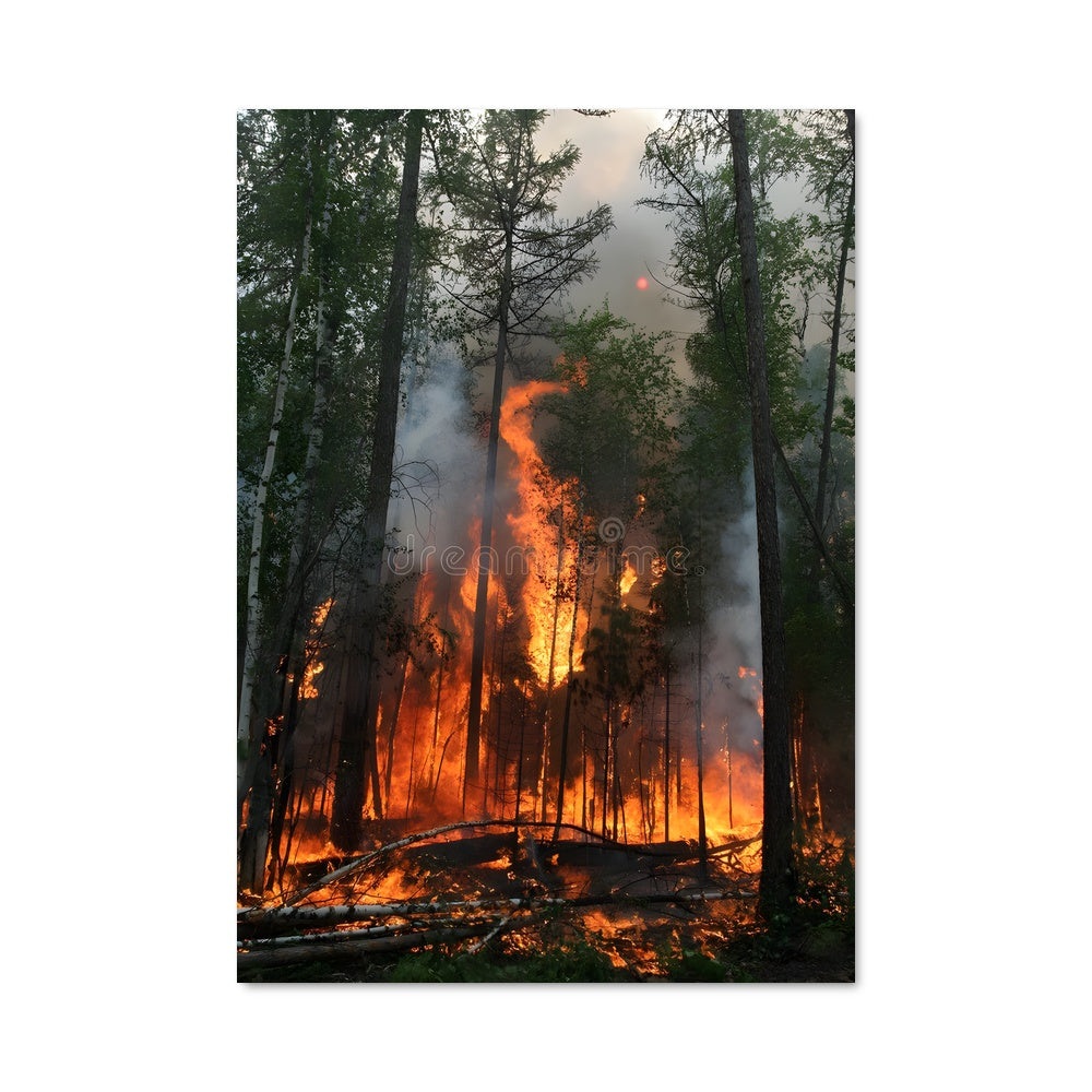 Poster Incendie Sauvage