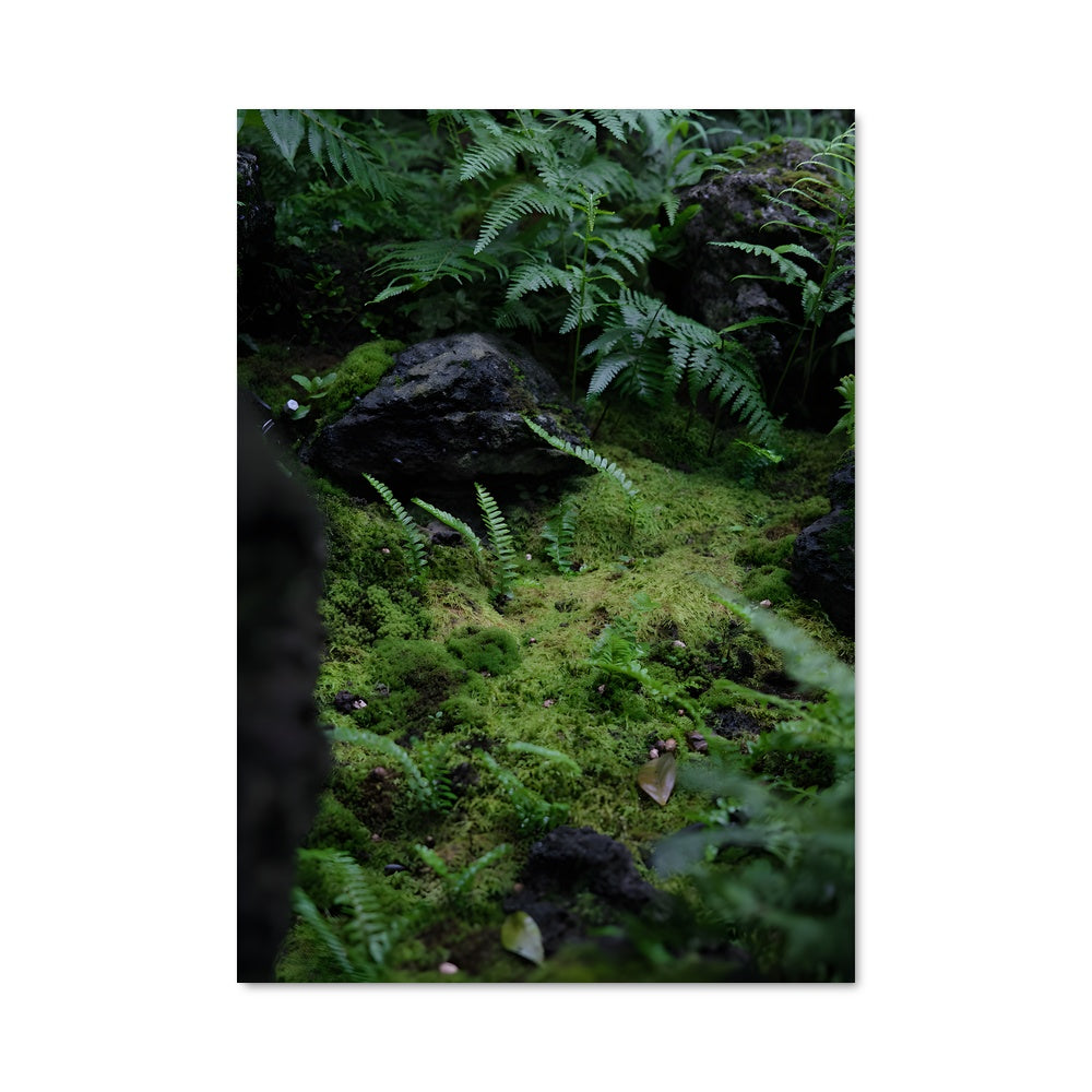 Poster Sous-bois Enchanté