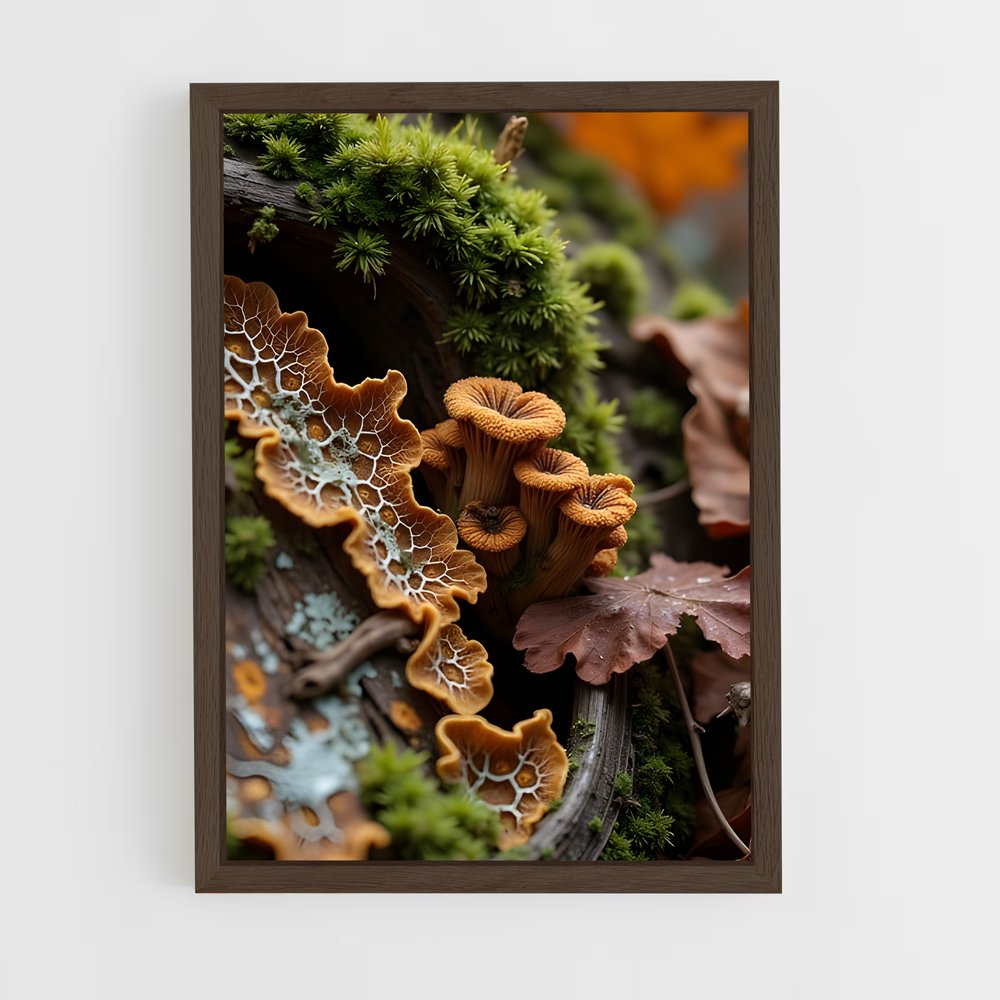 ap-forest moss-13 cadre Bois foncé