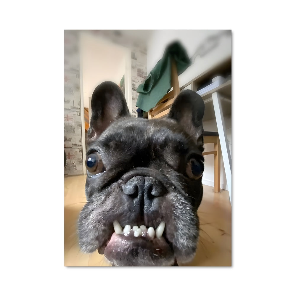 Poster Chien Heureux