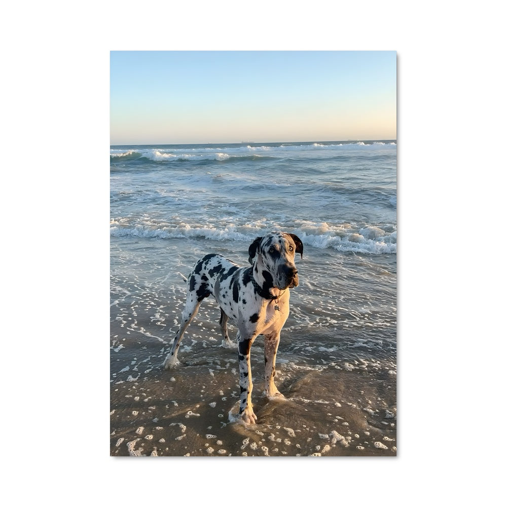 Poster Grandeur Marine