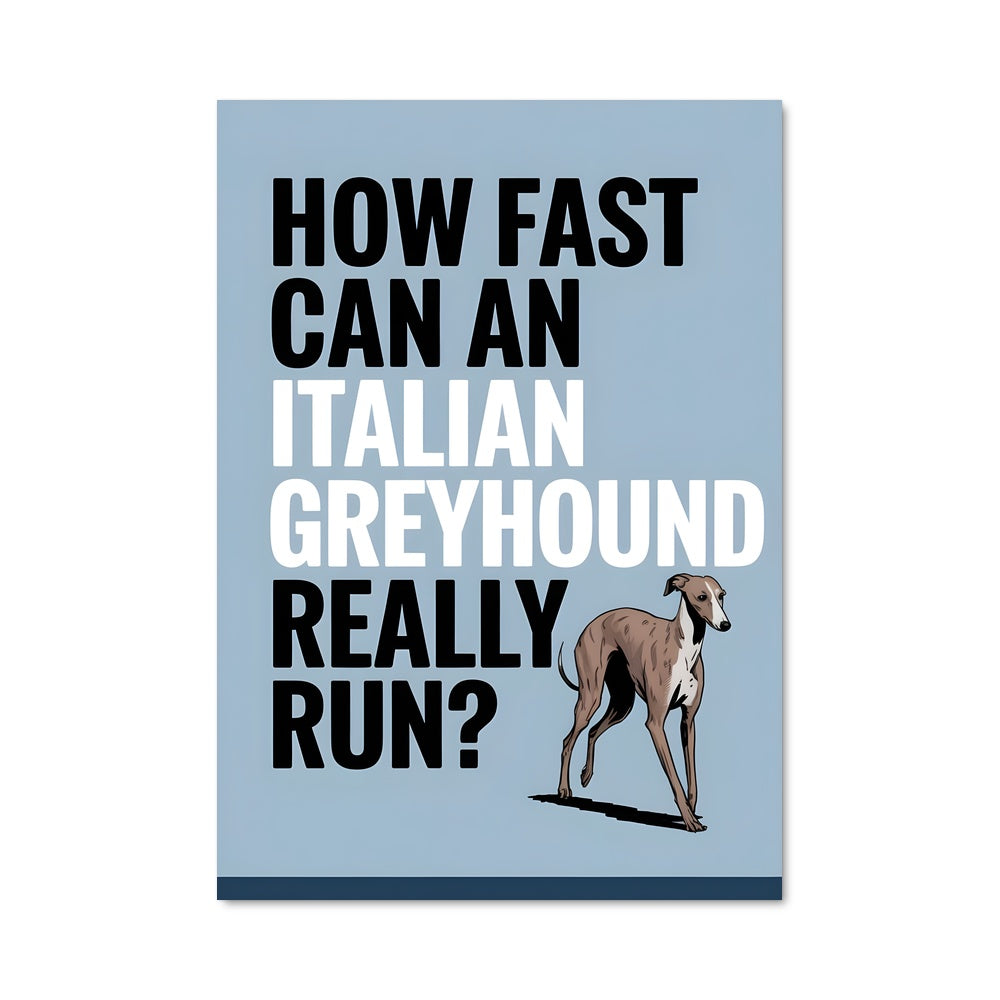 Poster Greyhound Rush
