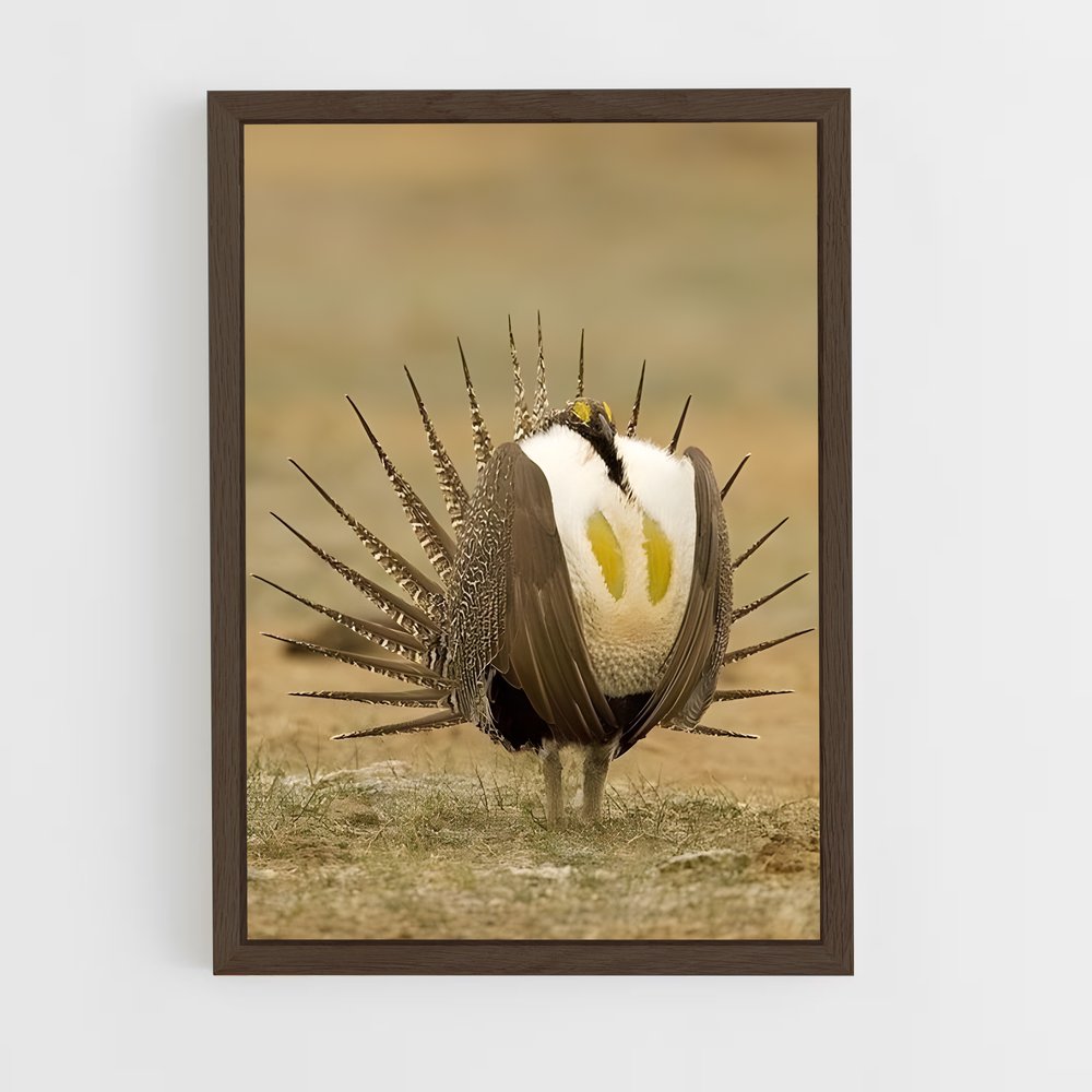 ap-grouse-5 cadre Bois foncé