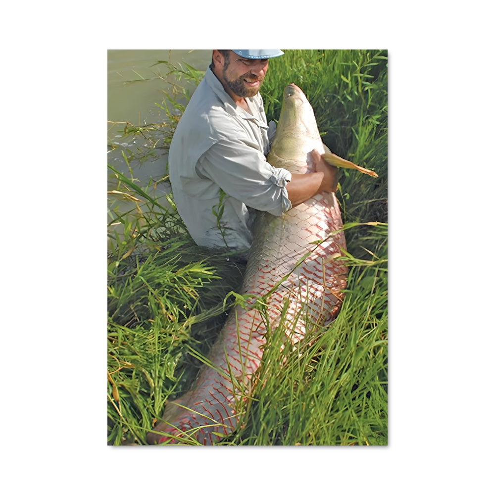 Poster Dialogue Aquatique