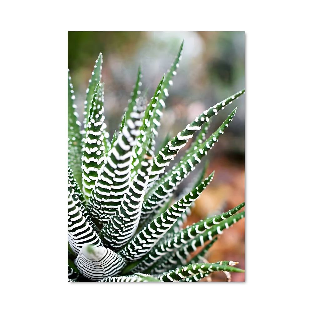 Poster Gouttes de Vie