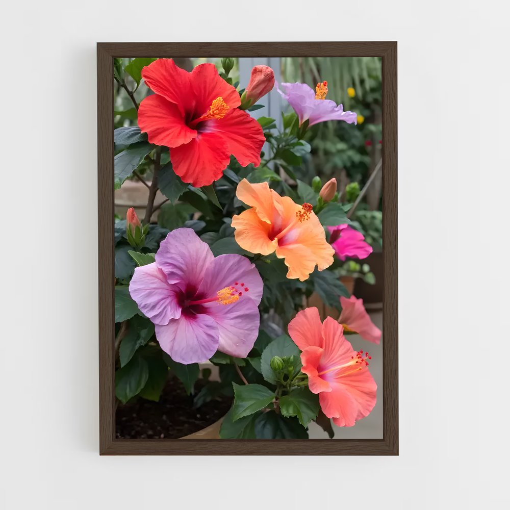 ap-hibiscus-14 cadre Bois foncé