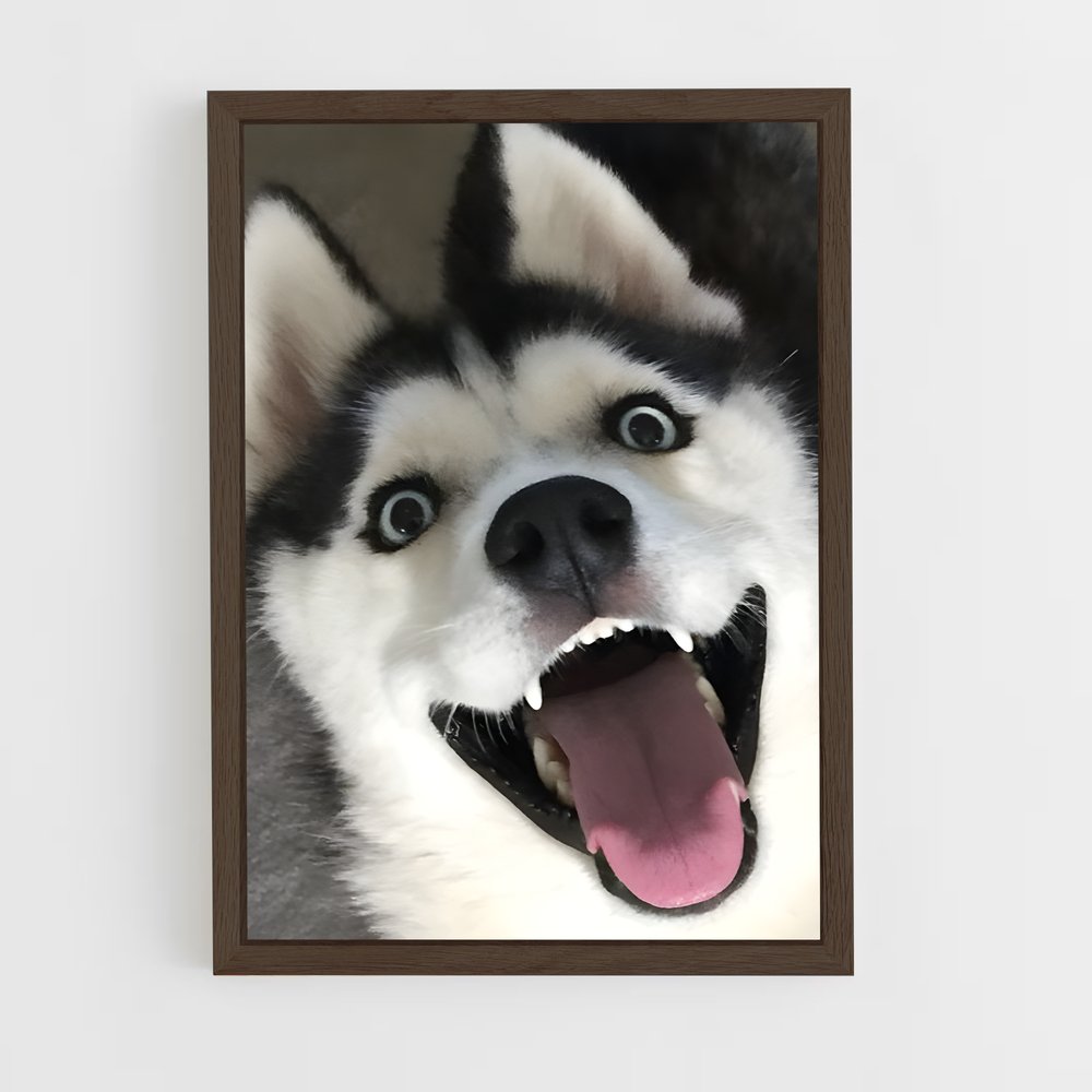 ap-husky-3 cadre Bois foncé