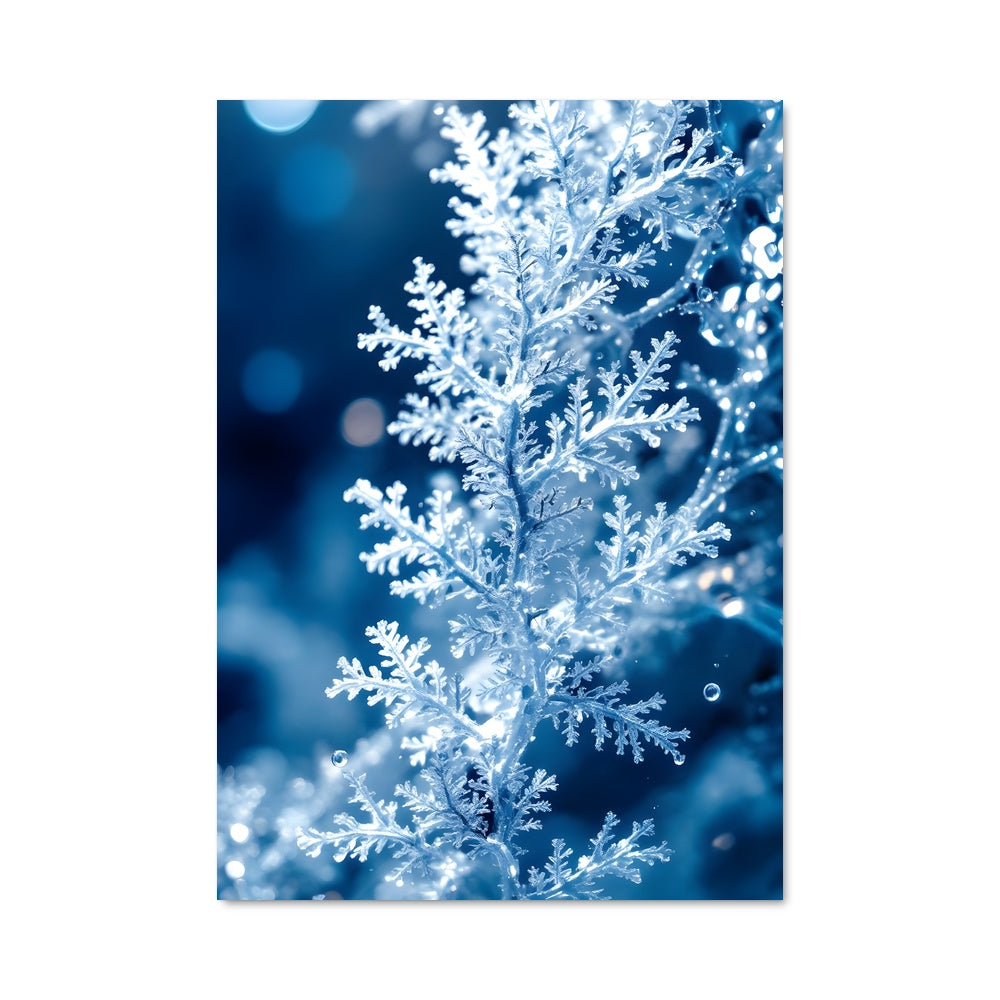 Poster Ice crystals 96888