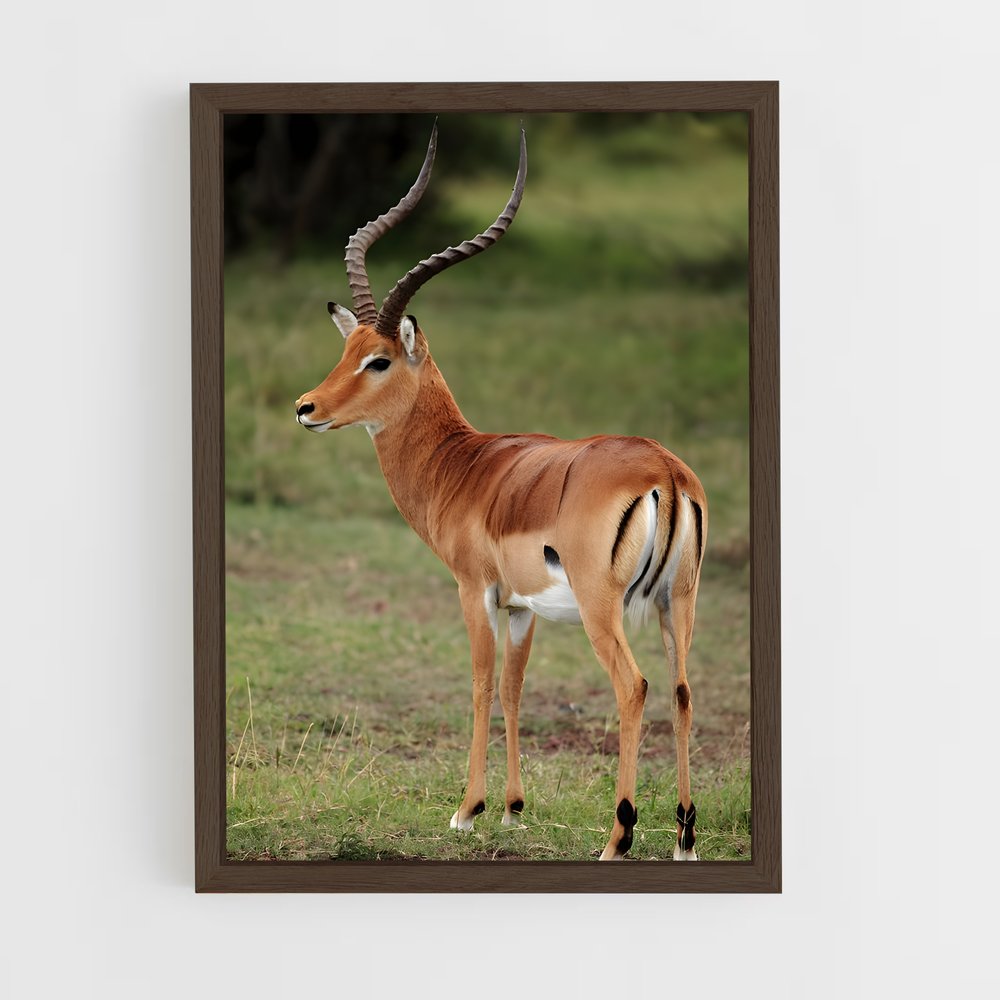 ap-impala-4 cadre Bois foncé