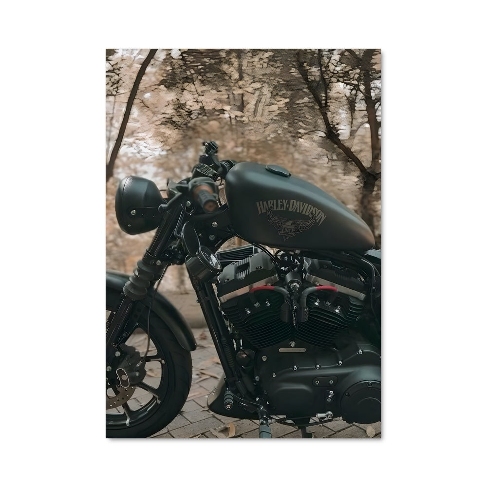 Poster Asphalt Rider