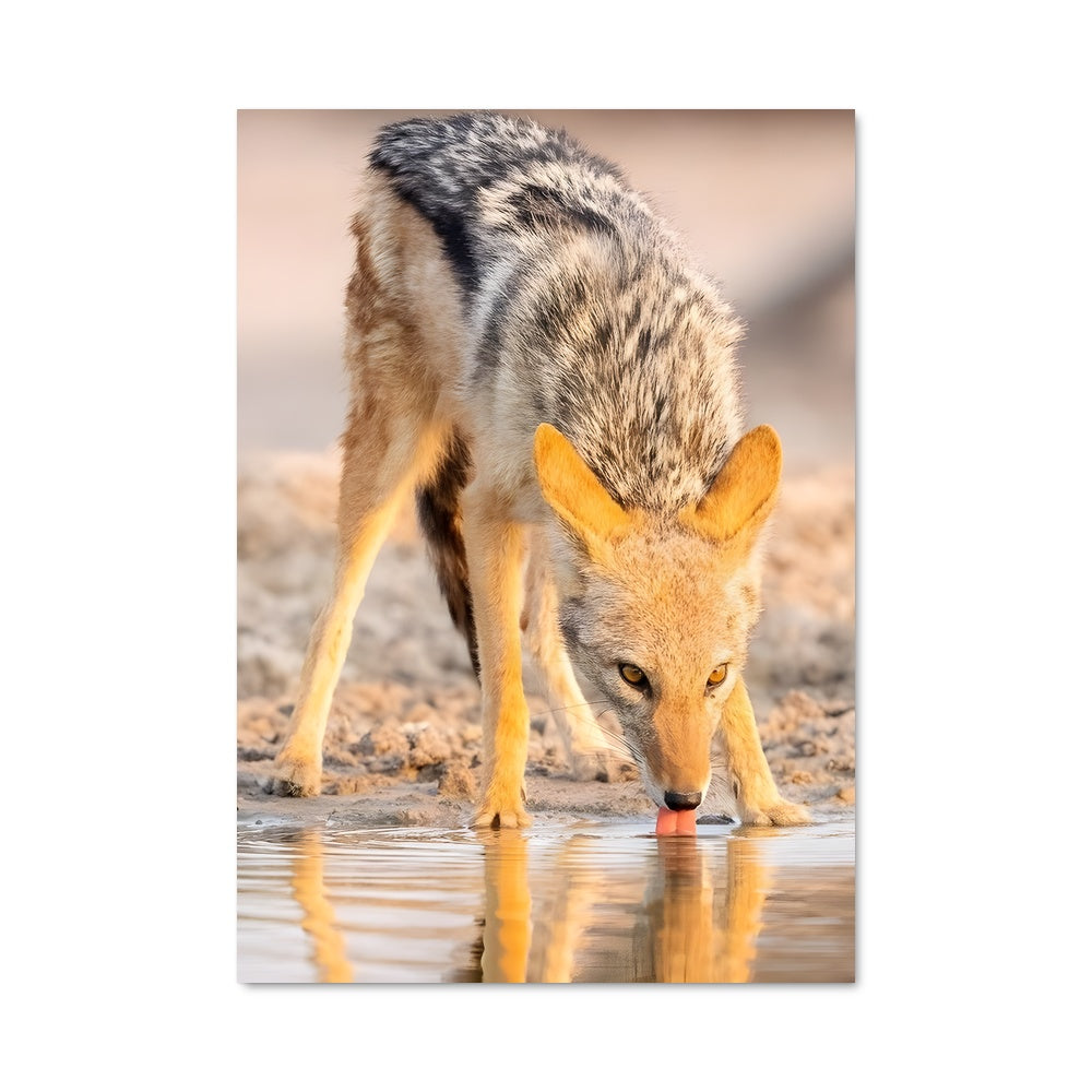 Poster Miroir des Eaux