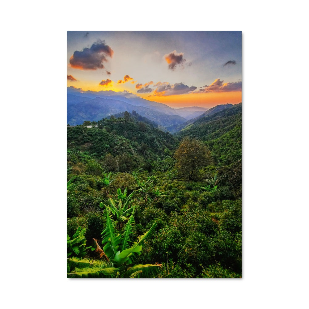 Poster Crépuscule Jamaïcain