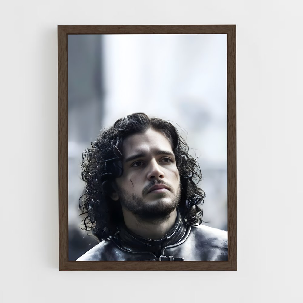 ap-jon snow-2 cadre Bois foncé