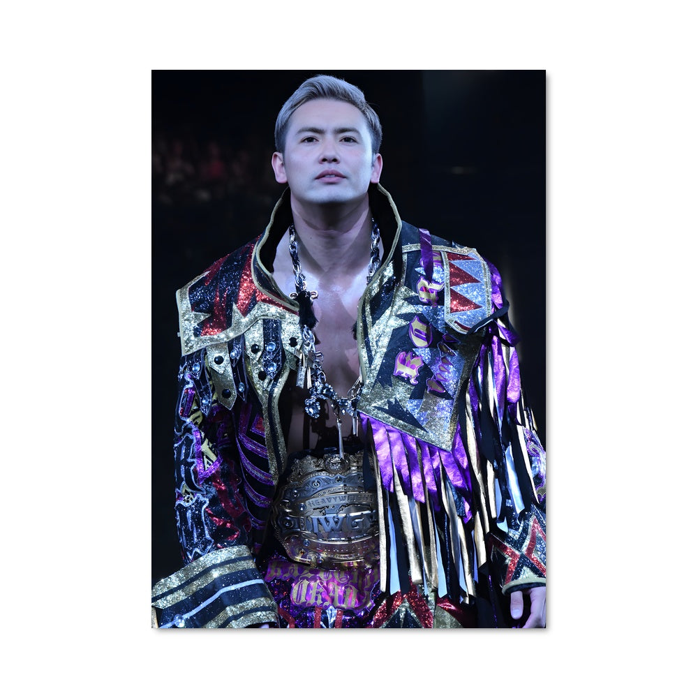 Poster The Colorful Undertaker