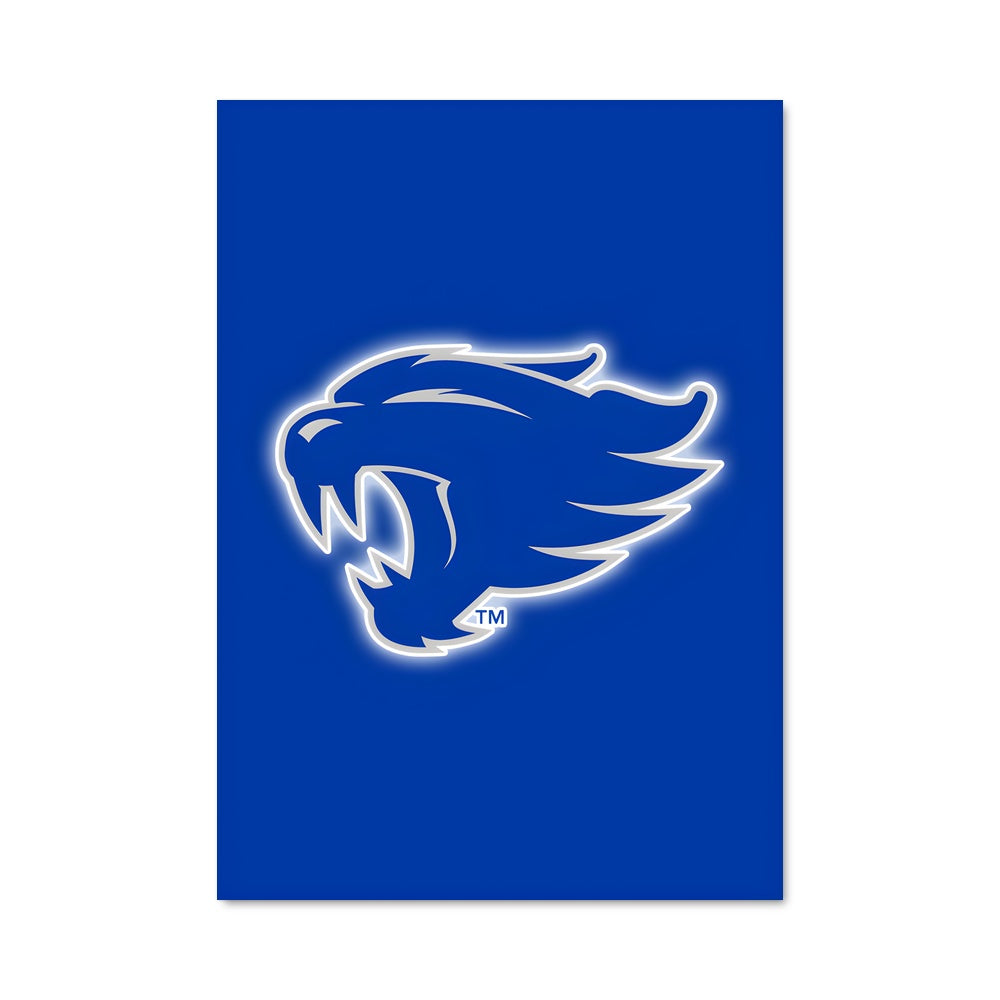 Poster Wildcats Spirit