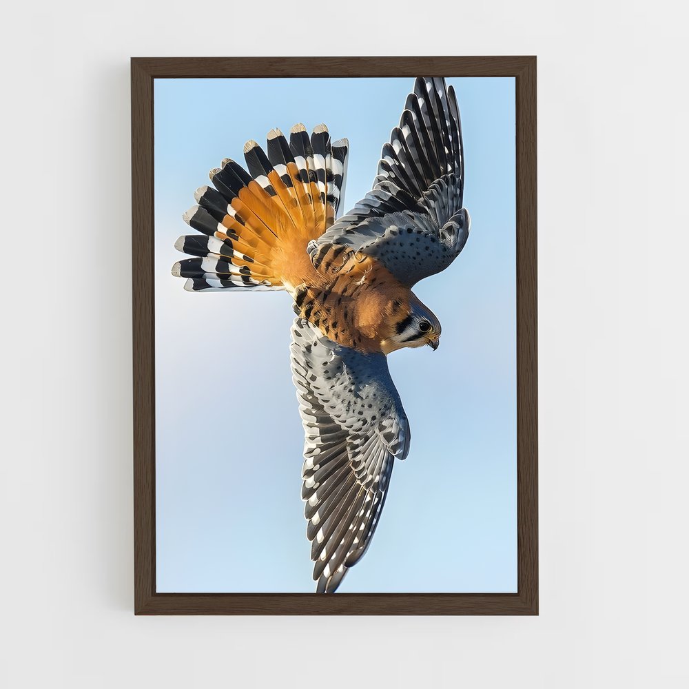 ap-kestrel-4 cadre Bois foncé