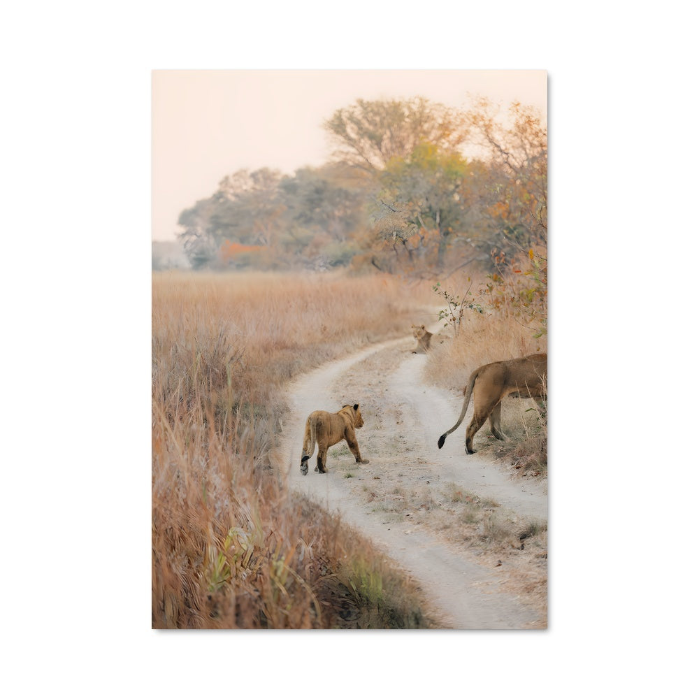 Poster Les Rois de la Route