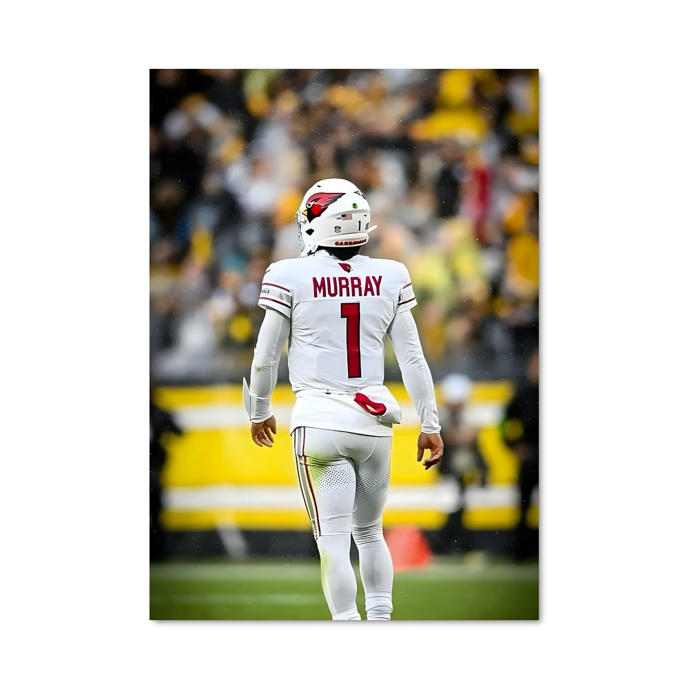 Poster Touchdown Murray