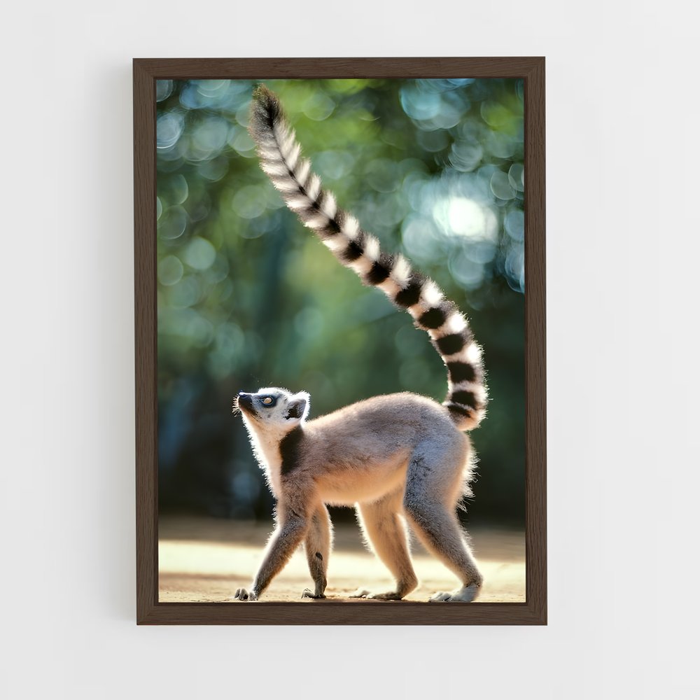 ap-lemur-2 cadre Bois foncé