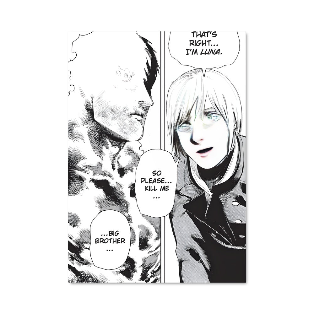 Poster Le Briseur de Cendres