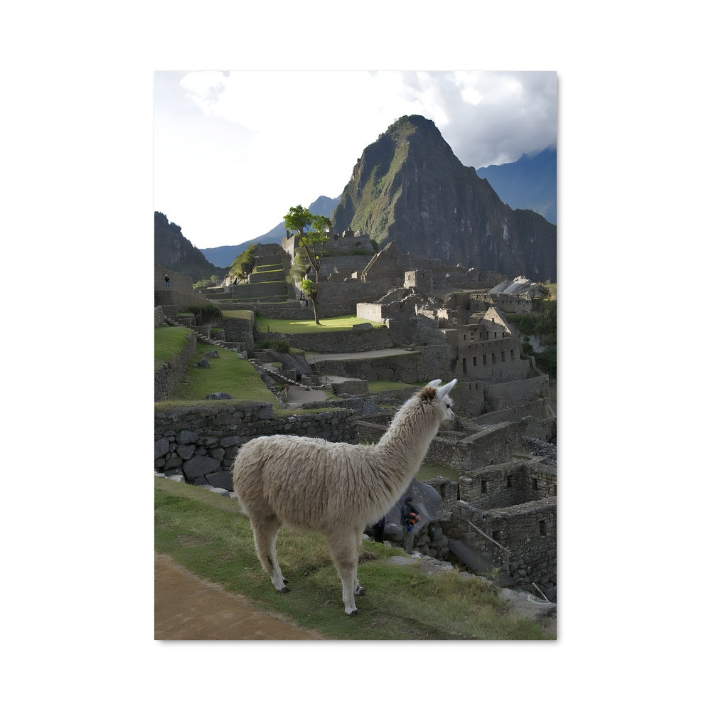 Poster Llama et Montagnes