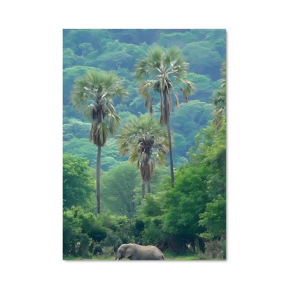 Poster La Majesté du Malawi