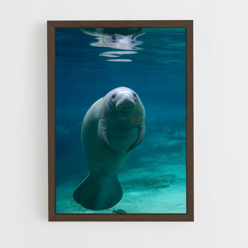 ap-manatee-1 cadre Bois foncé