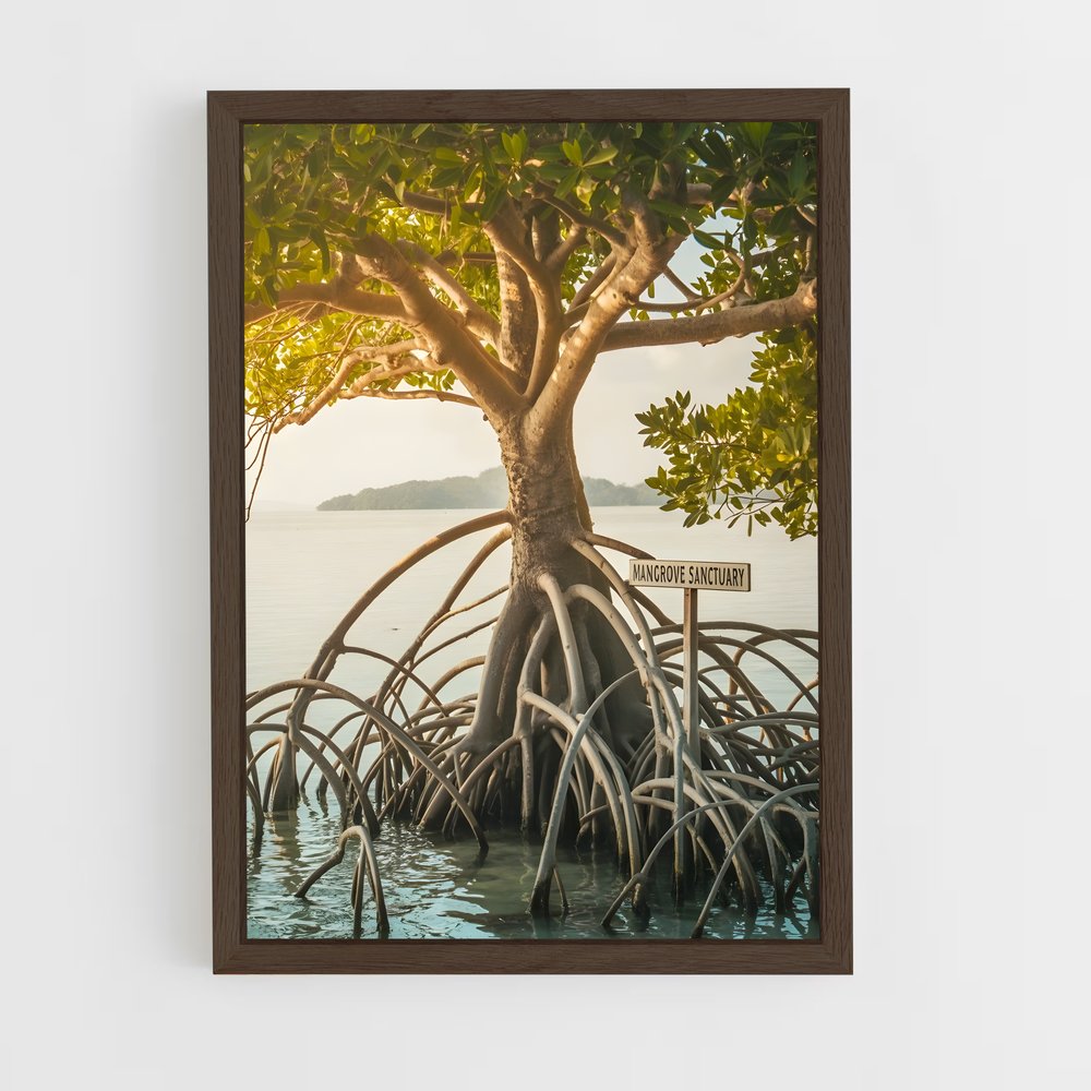 ap-mangrove-15 cadre Bois foncé