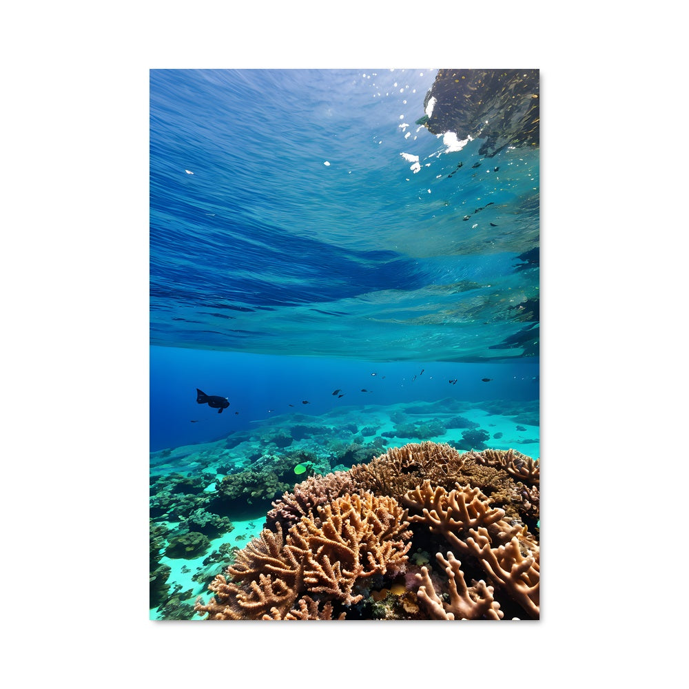 Poster Paradis Sous-Marin