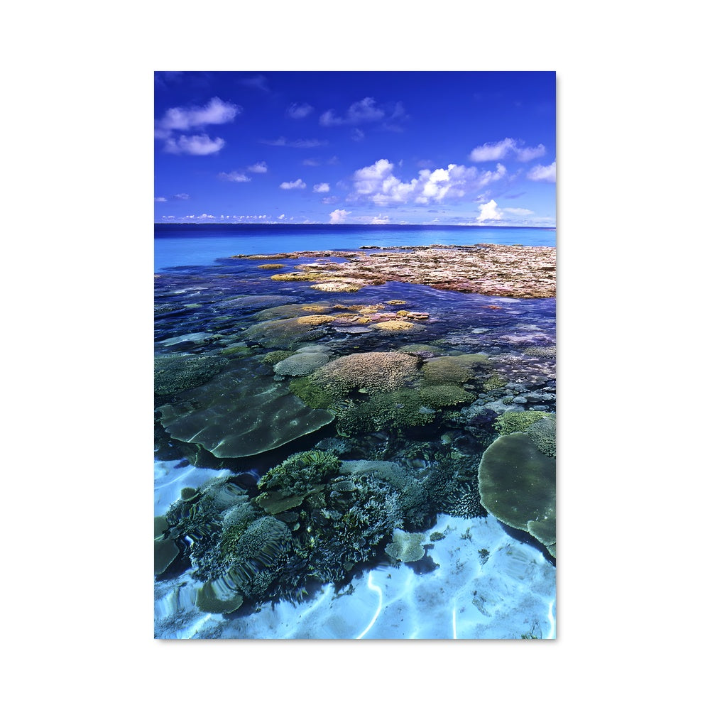 Poster Roche Éternelle