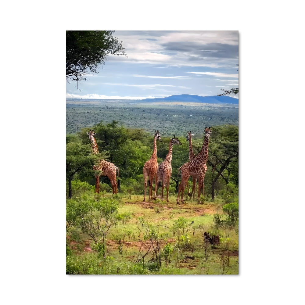 Poster Serengeti Safari