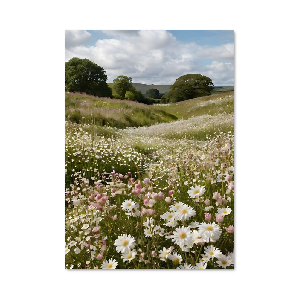 Poster Champs de Marguerites