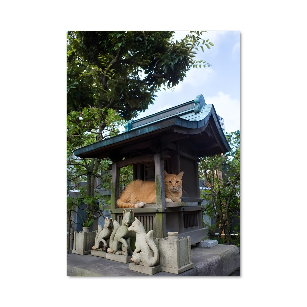 Poster Chats de Miyajima