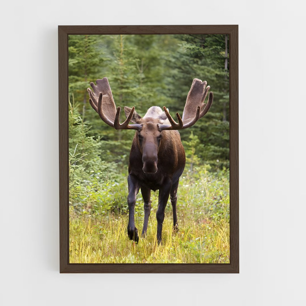 ap-moose-1 cadre Bois foncé