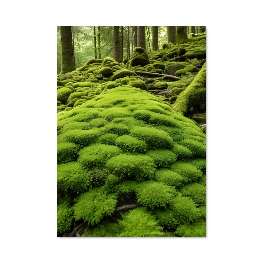 Poster Émeraude Sylvestre