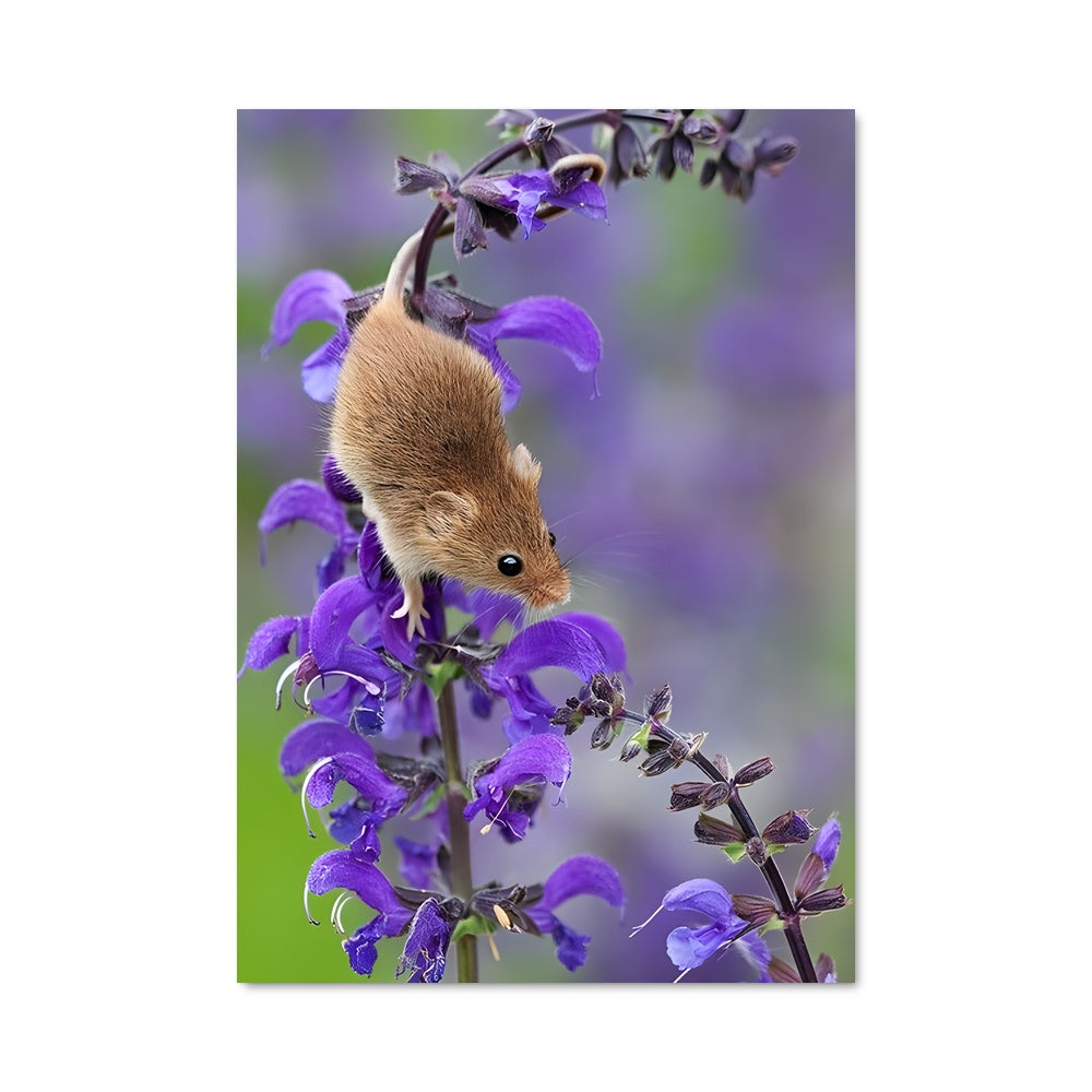 Poster Souris Enchantée