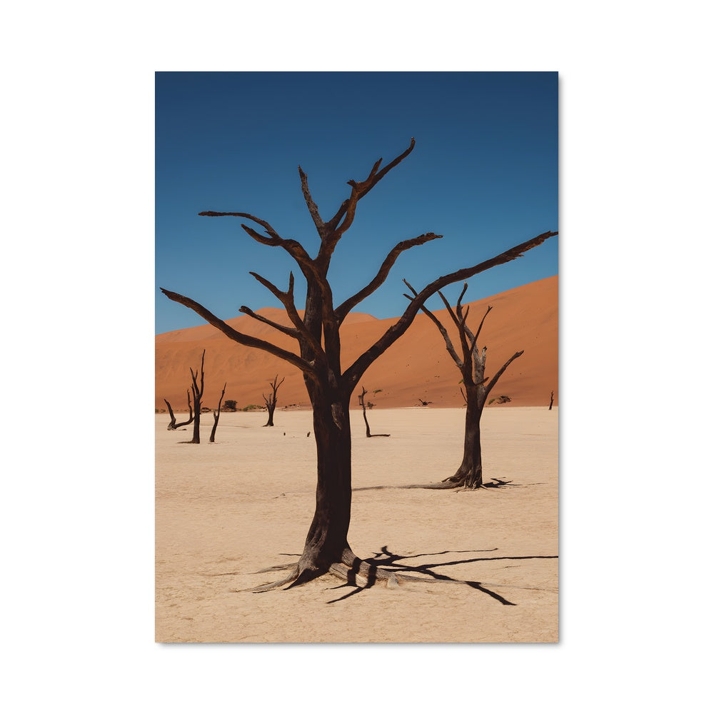 Poster Arbre des Ombres