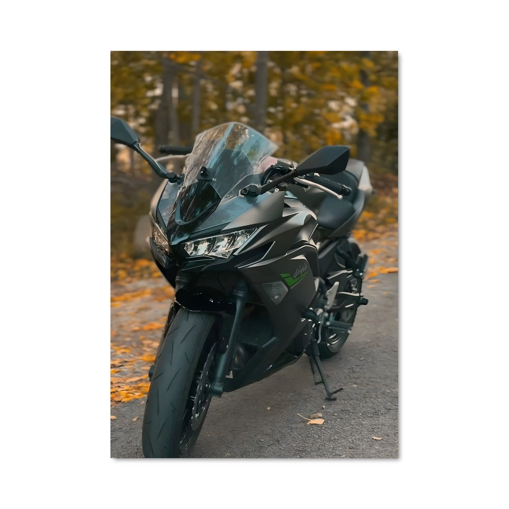 Poster Ninja 650 82383