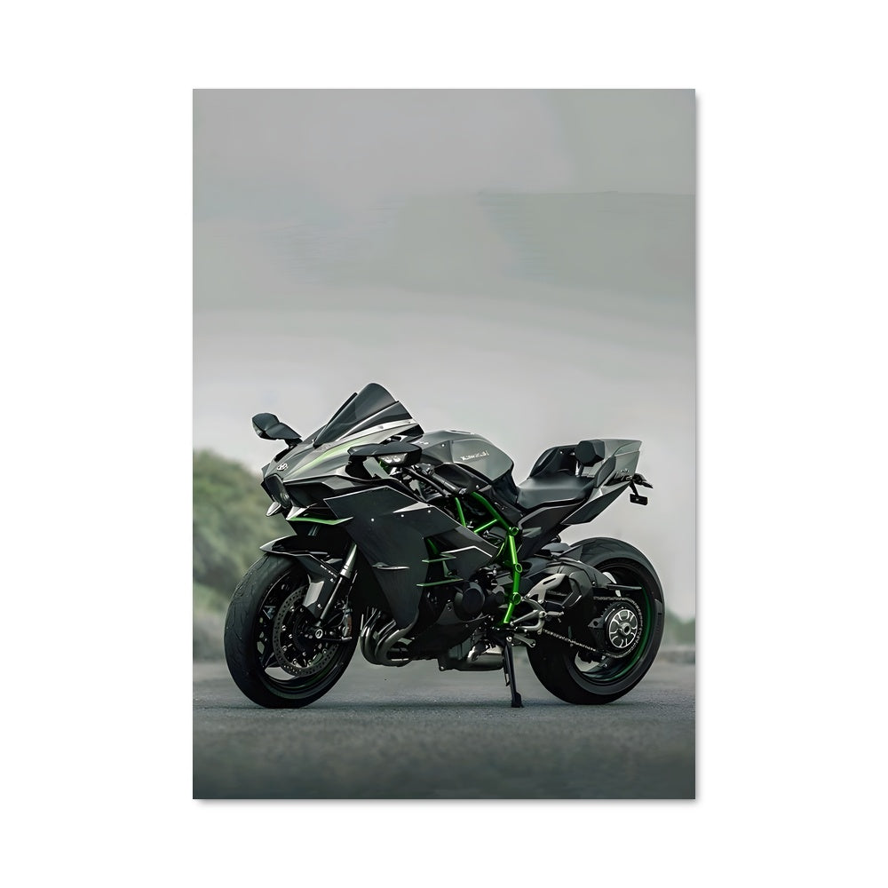 Poster Ninja h2 82389