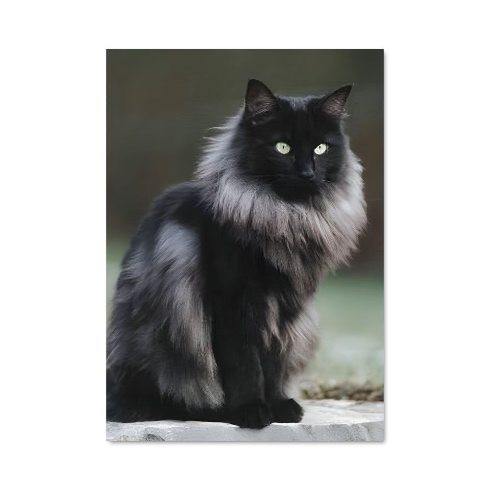 Poster La Majesté Noire