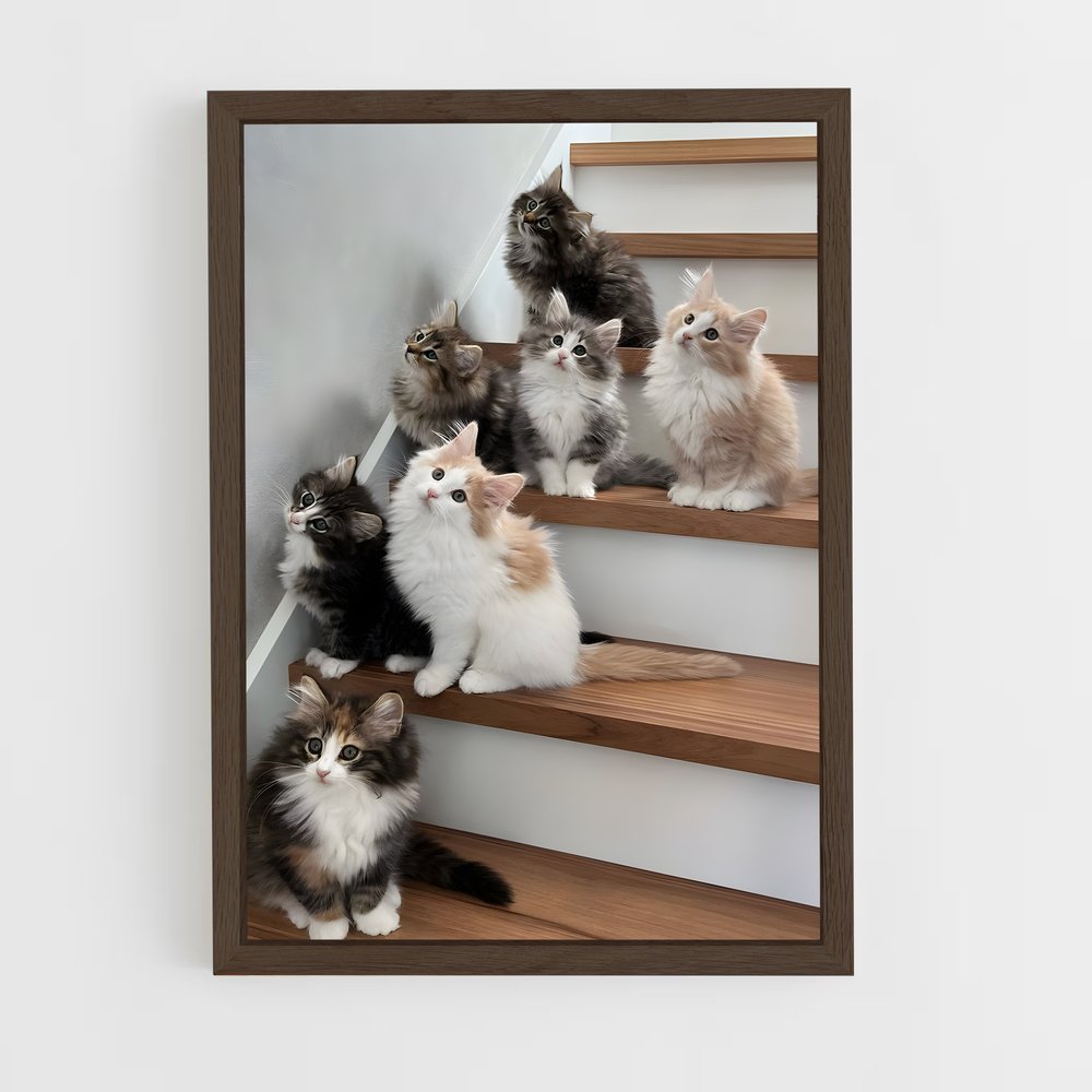 ap-norwegian forest cat-3 cadre Bois foncé