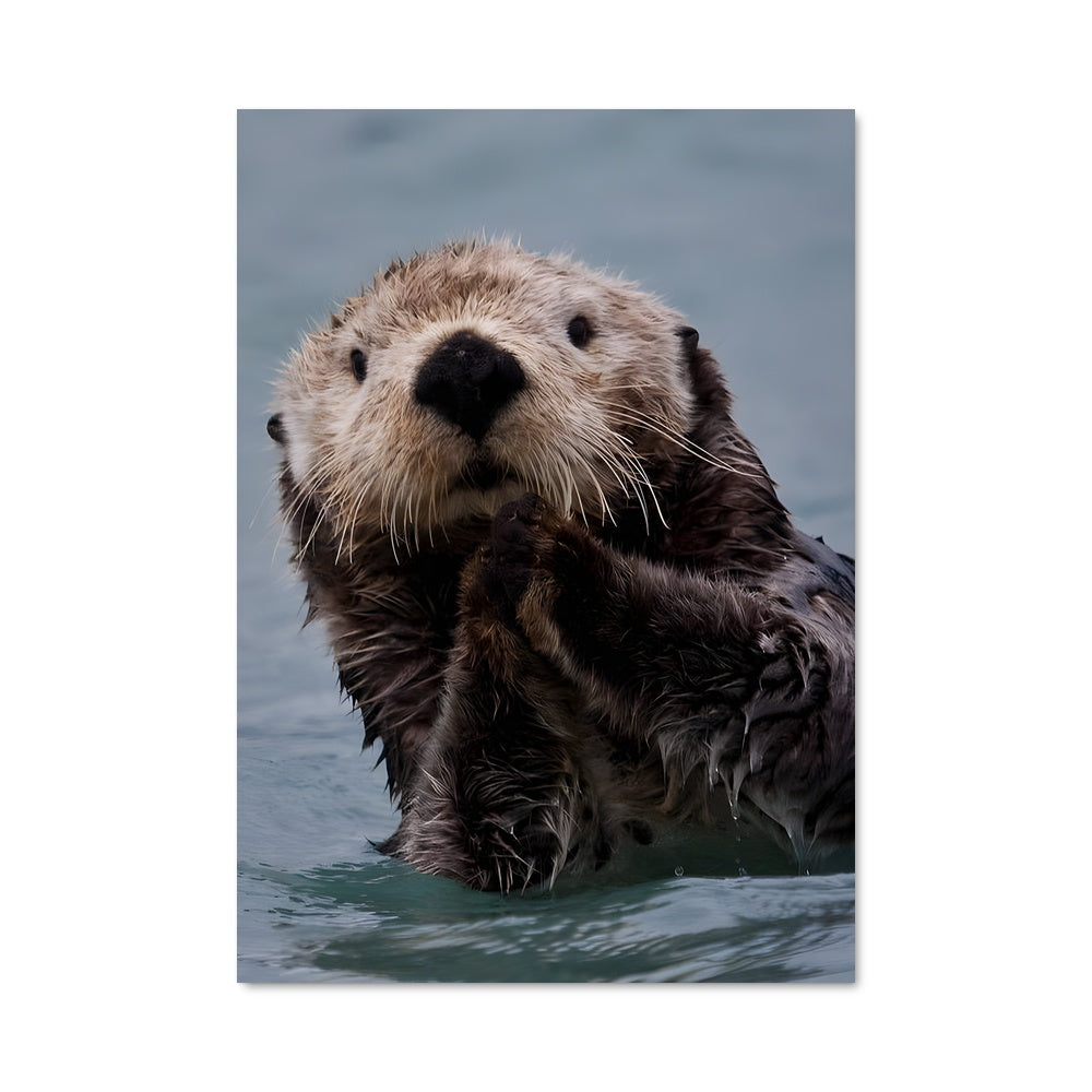 Poster L'Oursin des Mers