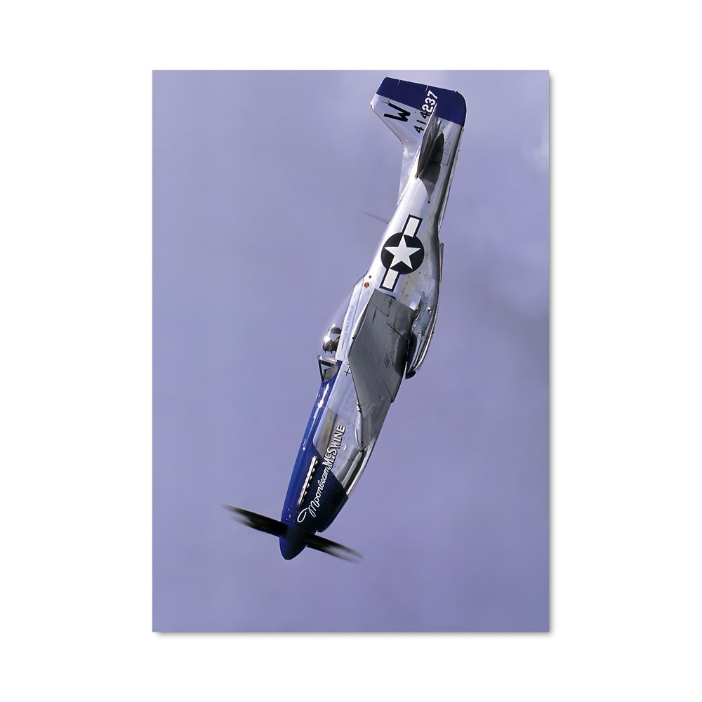 Poster Mustang dans les Nuages